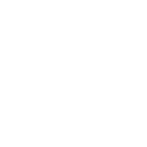 Nilons